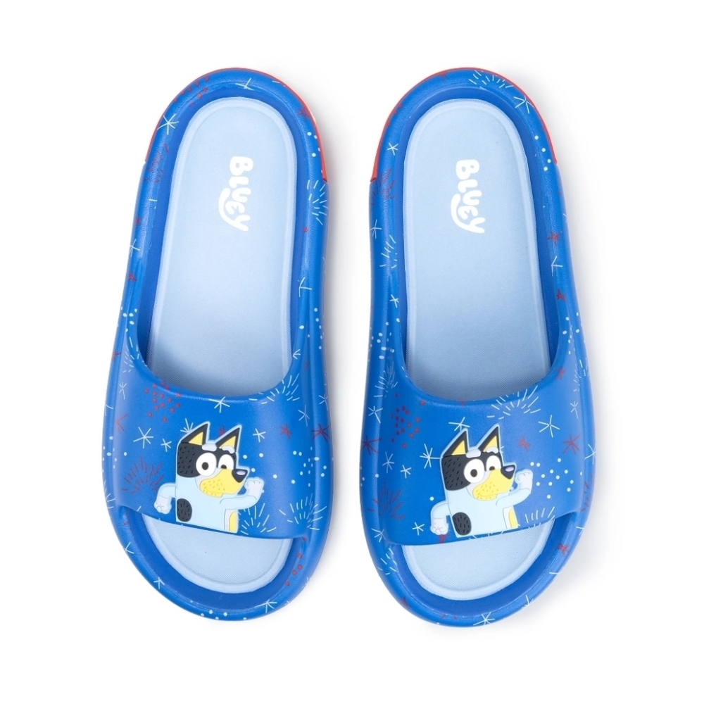 Mens Bluey Slide Sandals